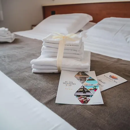 Splendid Sole Hotel Manerba del Garda
